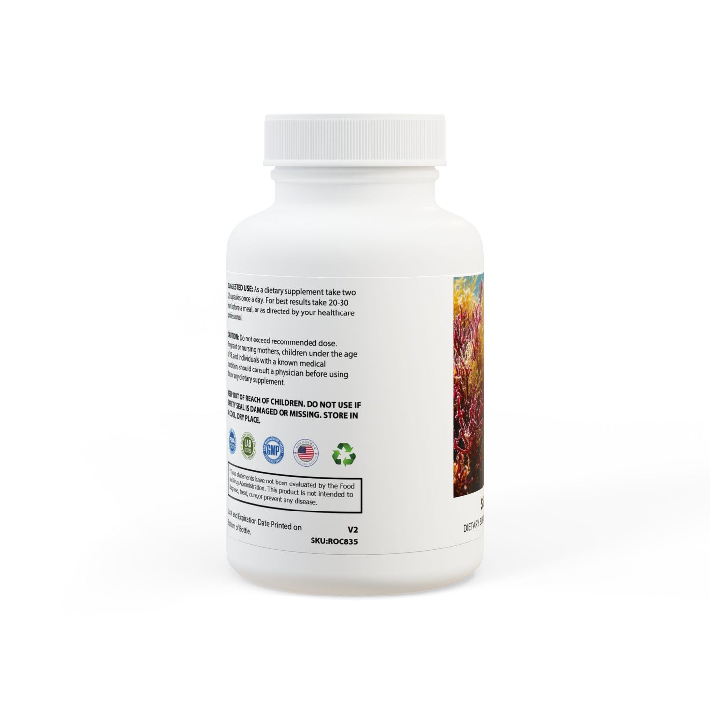 Sea Moss Supplement (60 Capsules)