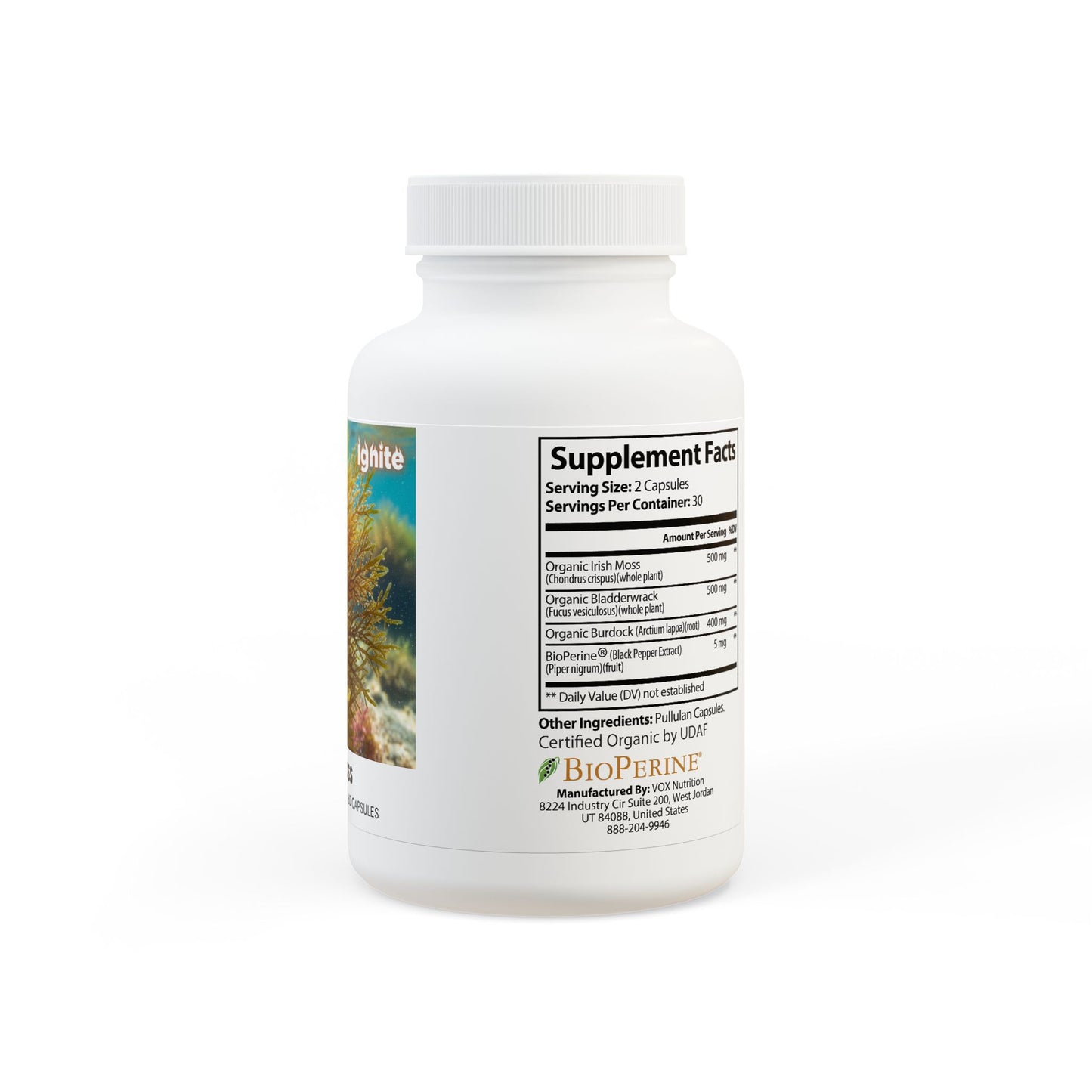 Sea Moss Supplement (60 Capsules)